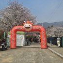 부곡공원길 | 가족과 함께 가볼 만한 곳 : 벚꽃 따라 떠나는 창녕 봄나들이! 부곡온천축제 &amp; 만년교 인생 샷 투어