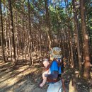 에이스펜션텔 이미지