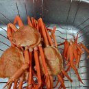 내내농수산 | 홍게 맛집 흥국농수산 최저가 보장 2kg 후기