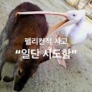 단국대 본태권도 | G-LOG / 2월: 백수 일기