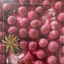 동백수목원[서] 네이버블로그