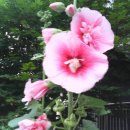 수복강녕 이미지