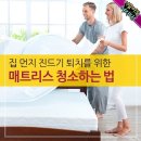 집 먼지 진드기 퇴치를 위한 매트리스 청소하는 법 이미지