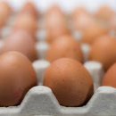 M&M 휘트니스 이미지