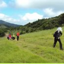 면역자연치유센터 이미지