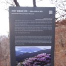 간월산자연휴양림 이미지
