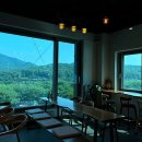 파인트리하우스 이미지