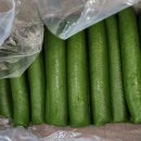 선도동행정복지센터 이미지