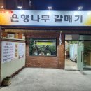 은행나무갈매기 이미지