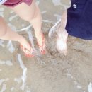 쥬크펜션 네이버블로그