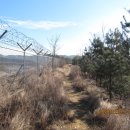 신동초교 이미지