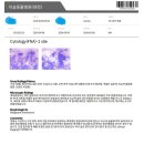 이솜동물병원 이미지