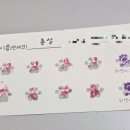 쁘니댕댕 이미지