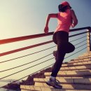 팜 휘트니스 이미지