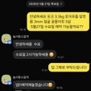 사랑스럽개 - 동대문구 전농로4길 1 | [광주 첨단] 애견미용 내돈내산 3년 단골 "늘 사랑스럽개" 후기, 리뷰