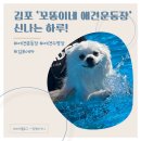 조강로 56번길 | [경기 김포] ‘꼬똥이네 애견운동장’에서 강아지와 함께한 신나는 하루