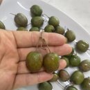 광교산농수산물