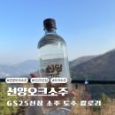 GS25심곡새로나점 | 선양소주 오크 내돈내산 GS25 신상 솔직 후기!