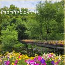 불암산종합스타디움 | 서울 나들이 추천 / 불암산 힐링타운 나비정원 순환산책로 산책하기 좋은 곳 / 수국정원 기간 / 주차...