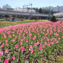 낙동강관리본부 화명생태공원 11 이미지