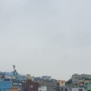 꽃분이네차와커피