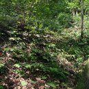 산수가든민박 이미지