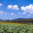 연꽃단지 화장실 이미지