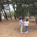 동해송정동철기시대유적 이미지