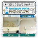 세종파크 | 대전세종 입주 청소 잘하는 곳으로 후기 좋은 클린파크입니다!