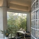 고색애견 이미지