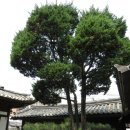성북동 최순우 옛집 (2012년 봄 방문)