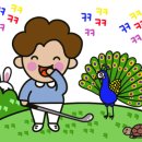 B&B 스크린골프 이미지