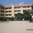 미남초등학교 이미지