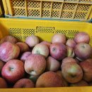 새콤달콤 맛있는 부사사과 판매합니다. 이미지