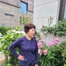 분당 미용실 단발 보브컷 잘하는곳! 레드브라운 전체염색 도희 수석디자이너 후기