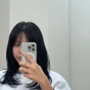 서구-01-50 | 둔산동 미용실 루시드헤어, 연우 디자이너 레이어드 컷 후기