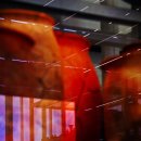 몽상가의 정원 이미지