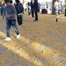 (주)여행과나무 이미지