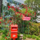 만안구청-5 이미지