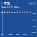 그린월드 이미지