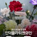 광화문 꽃집 추천 :) 어버이날 선물로 준비한 인덕플라워앤와인 광화문점 꽃화분 후기