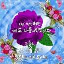 나를 위한 진짜 위로 / 마더 테레사 이미지