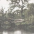 그뤼에르 이미지