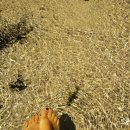 곽지관광지 이미지