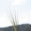 루디자인