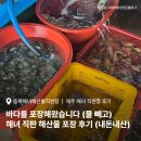 제주여기, 동복 | 바다를 통째로 포장한 후기 : 제주 동복해녀해산물직판장 내돈내산
