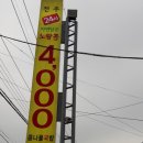 노랑콩 이미지