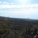 서귀포자연휴양림 이미지