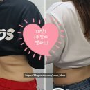 챔피언점핑다이어트