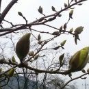 공작산로 이미지